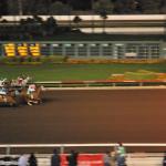 NightAtRaces_0069 (July 23, 2011)